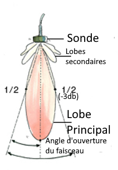 Lobes-fr