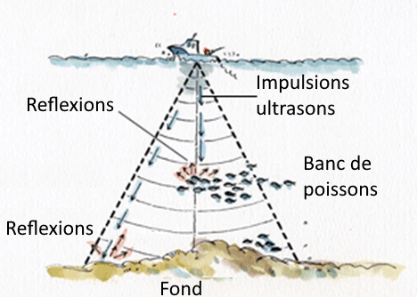 Fonctionnement du sondeur