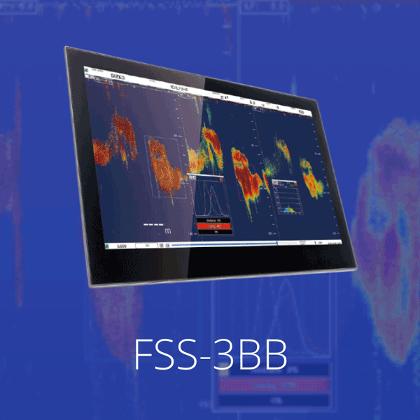 FSS-3BB