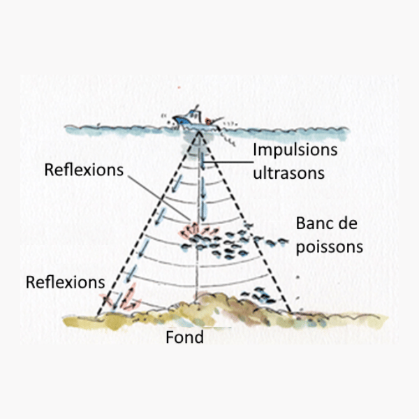 Comment fonctionne le sondeur de pêche