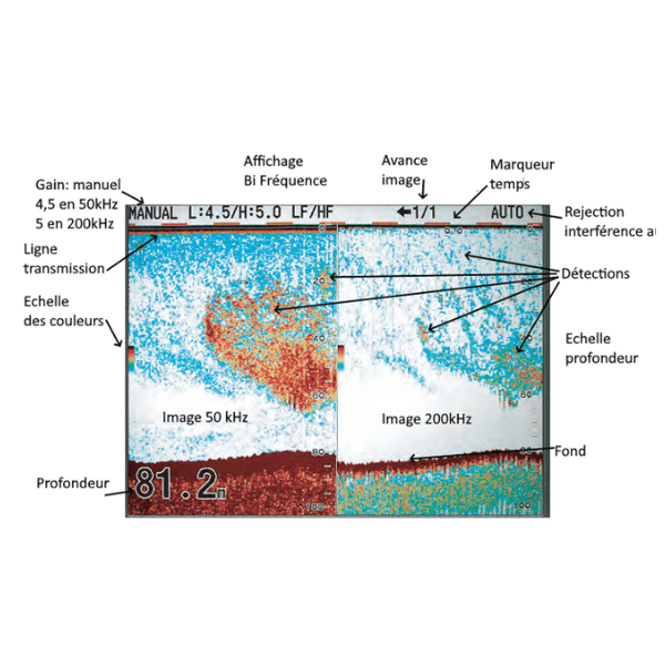 Comprendre laffichage du sondeur de pêche