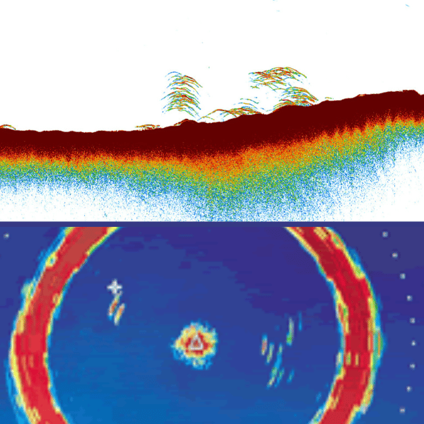 Les différences entre sondeur et sonar